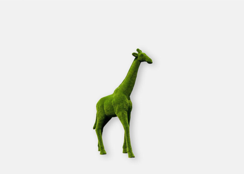 Small giraffe Statue